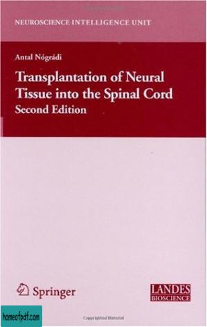 Transplantation of Neural Tissue into the Spinal Cord.jpg