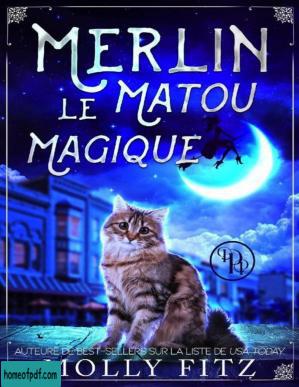 Merlin, le Matou Magique.jpg