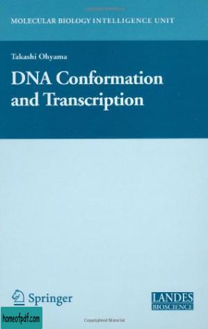 DNA conformation and transcription.jpg