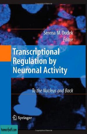 Transcriptional Regulation by Neuronal Activity: To the Nucleus and Back.jpg