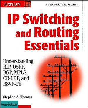IP Switching and Routing Essentials : Understanding RIP, OSPF, BGP, MPLS, CR–LDP, and RSVP–TE.jpg